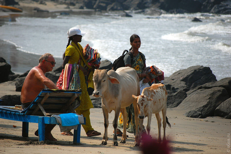  2010  (Goa photo)