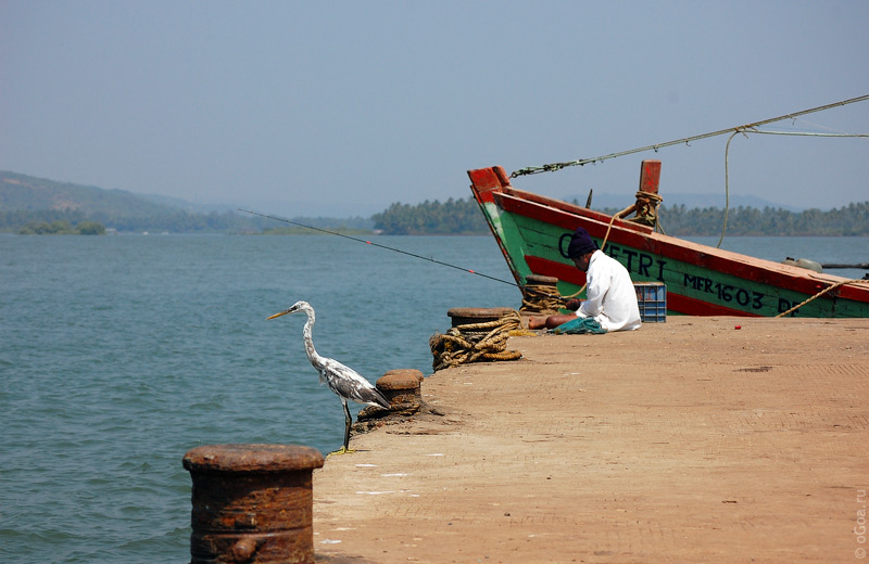  2010  (Goa photo)