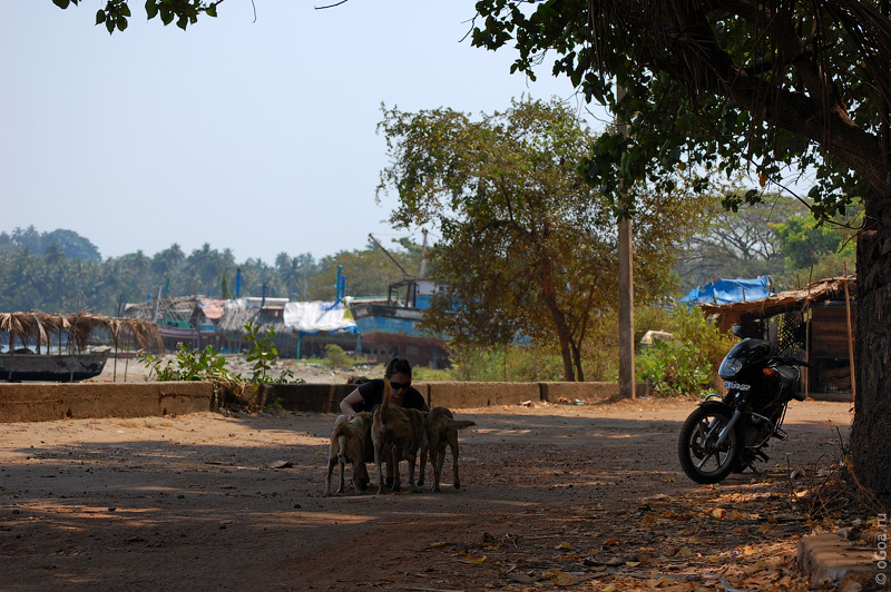  2010  (Goa photo)