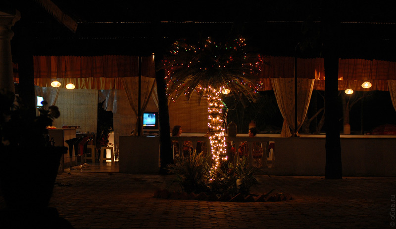  2010  (Goa photo)