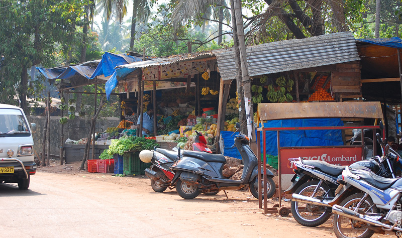  2010  (Goa photo)