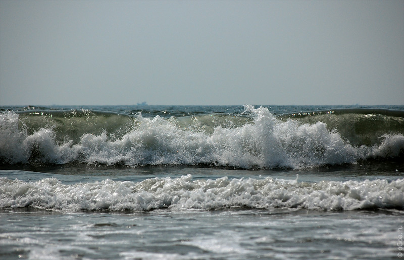  2010  (Goa photo)