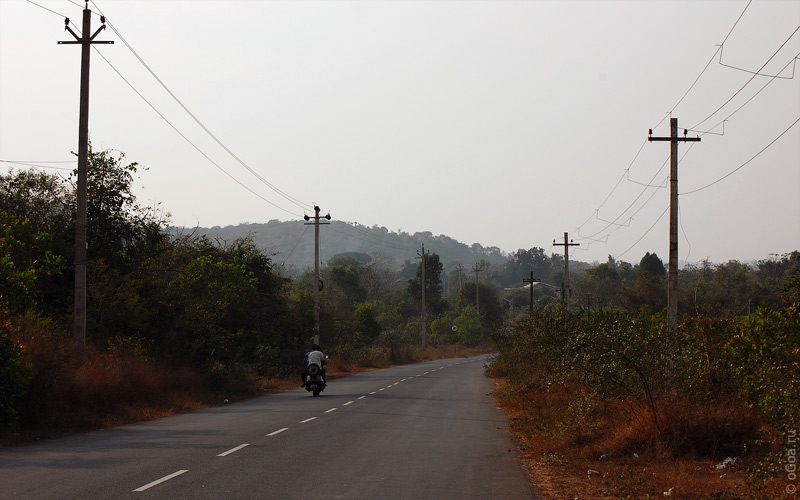  2010  (Goa photo)