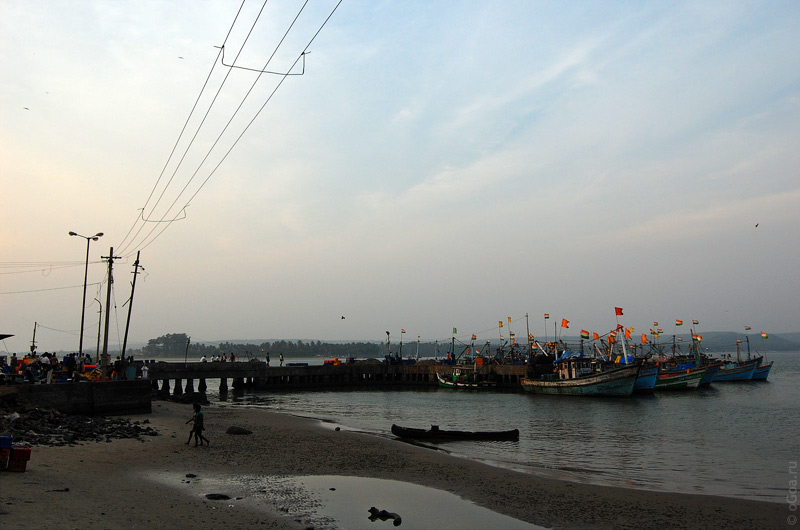  2010  (Goa photo)