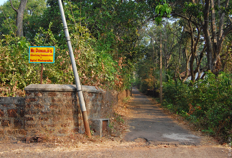  2010  (Goa photo)