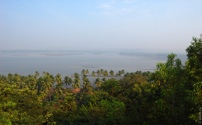  2010  (Goa photo)