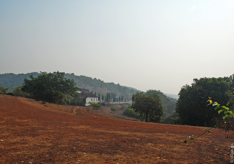  2010  (Goa photo)