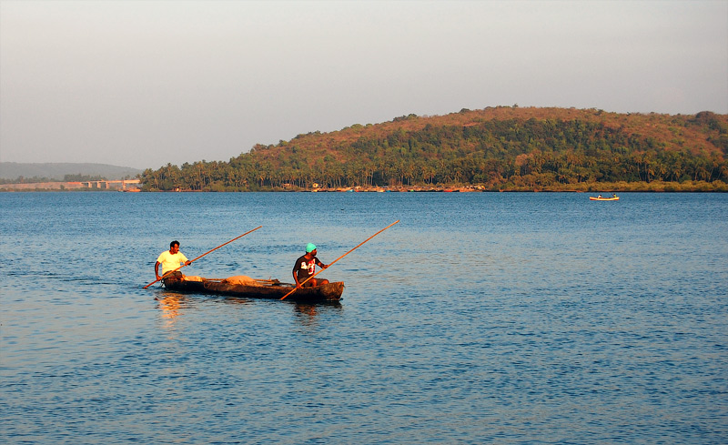   2010 Goa