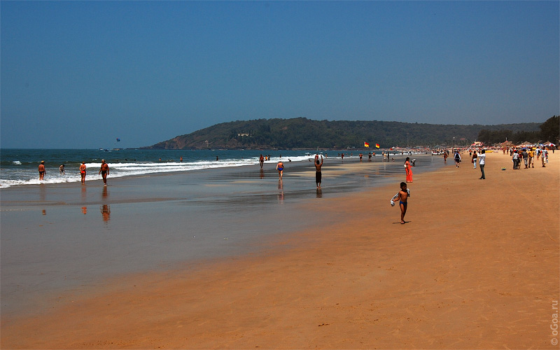   2010 Goa