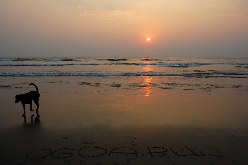   2010 Goa