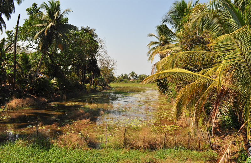  Heaven Goa, Benaulim