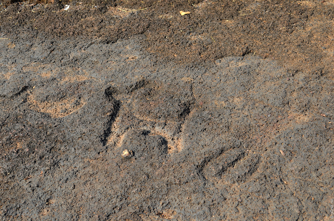     - Usgalimal Rock Carvings